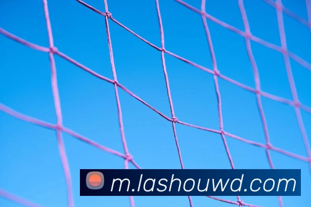 问鼎28APP 高清赛事图